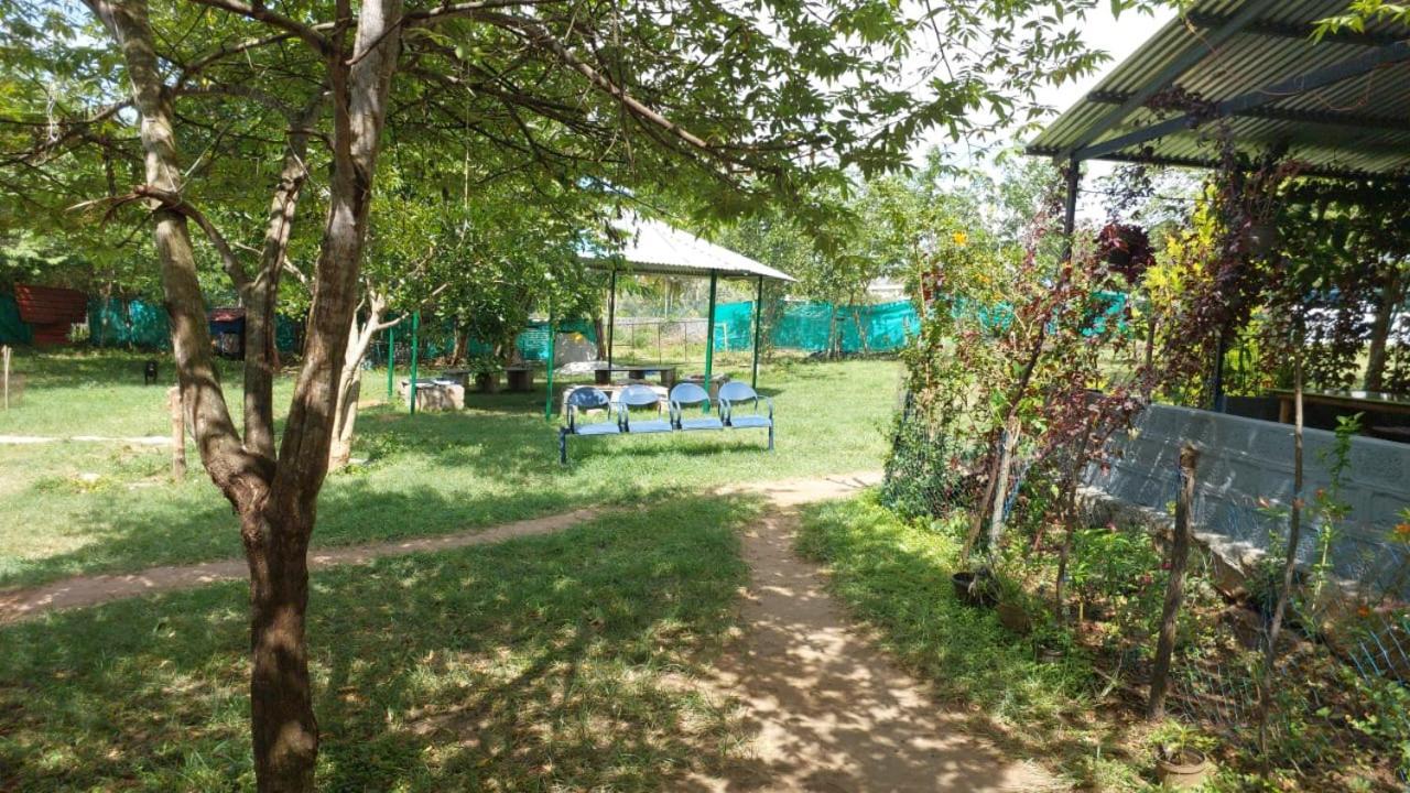 Green Hills Farm And Guest House 마시나구디 외부 사진